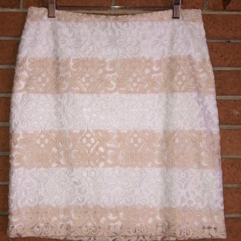🥂WHBM🥂STRIPE LACE PENCIL SKIRT🥂 - Picture 4 of 5